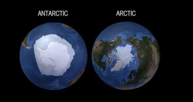 الفرق بين القطب الشمالي والقطب الجنوبي